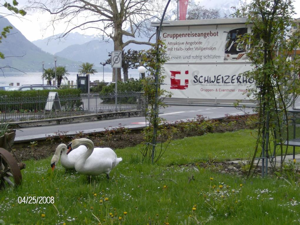 Hotel Schweizerhof Weggis Buitenkant foto